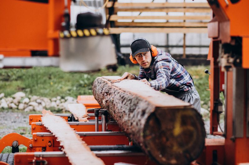 Przetargi na wycinkę drzew w Polsce stanowią zarówno wyzwanie, jak i szansę dla firm branży leśnej.